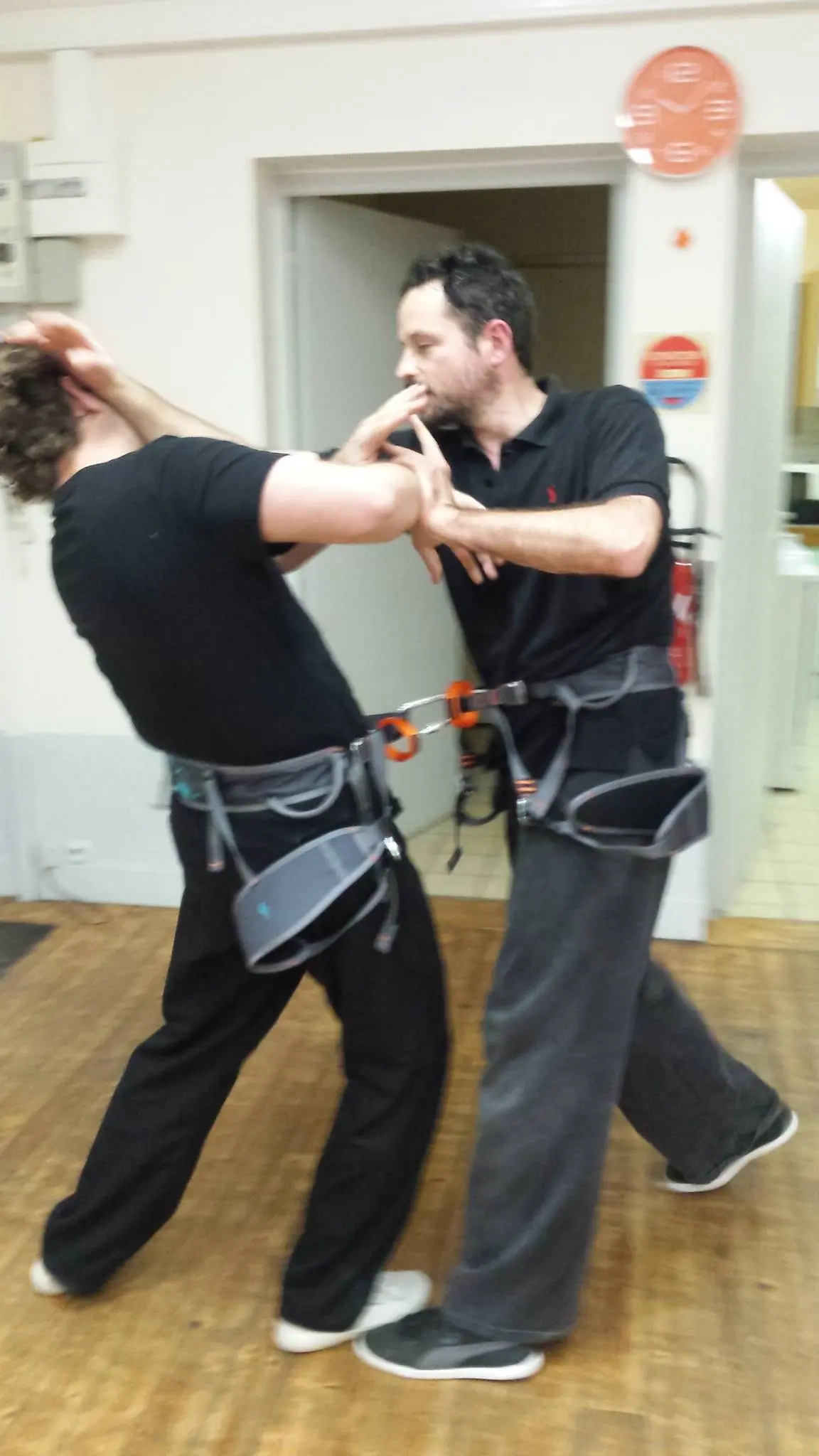 Sifu Dimitri Vaultier démonstration